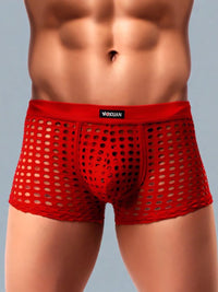Διχτυωτό Ανδρικό Boxer