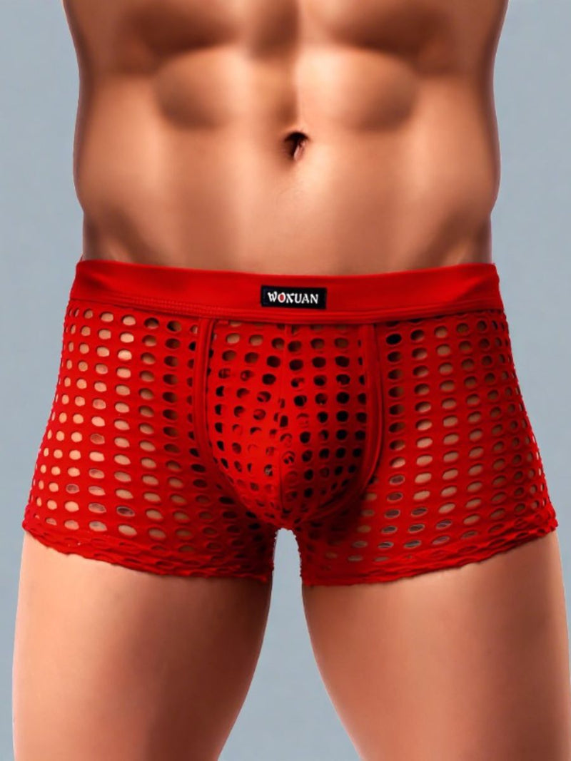Διχτυωτό Ανδρικό Boxer