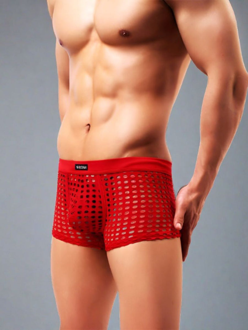 Διχτυωτό Ανδρικό Boxer