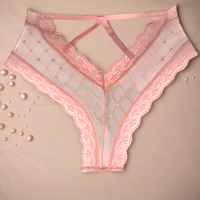Brazilian Slip Διάφανο με V Κόψιμο – Μαύρο, Κόκκινο, Μωβ, Nude | Juicy String